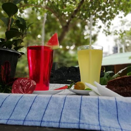 Sigiri La Veranda Lodge Kibissa エクステリア 写真