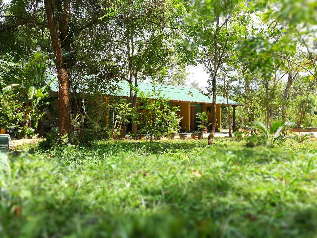 Sigiri La Veranda Lodge Kibissa エクステリア 写真
