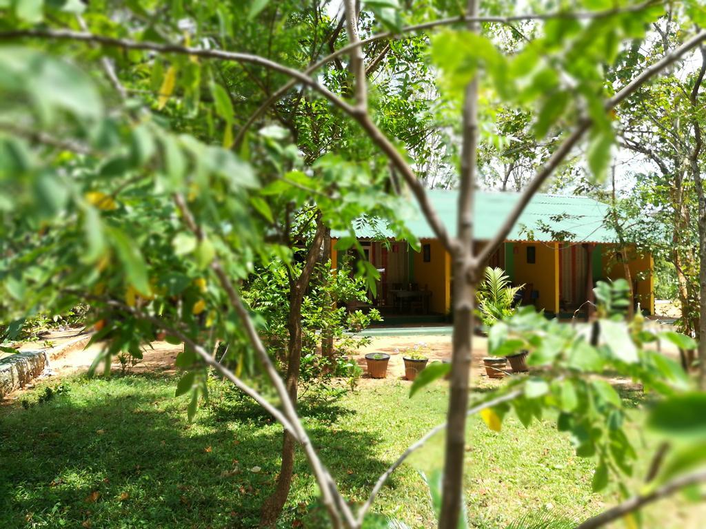 Sigiri La Veranda Lodge Kibissa エクステリア 写真