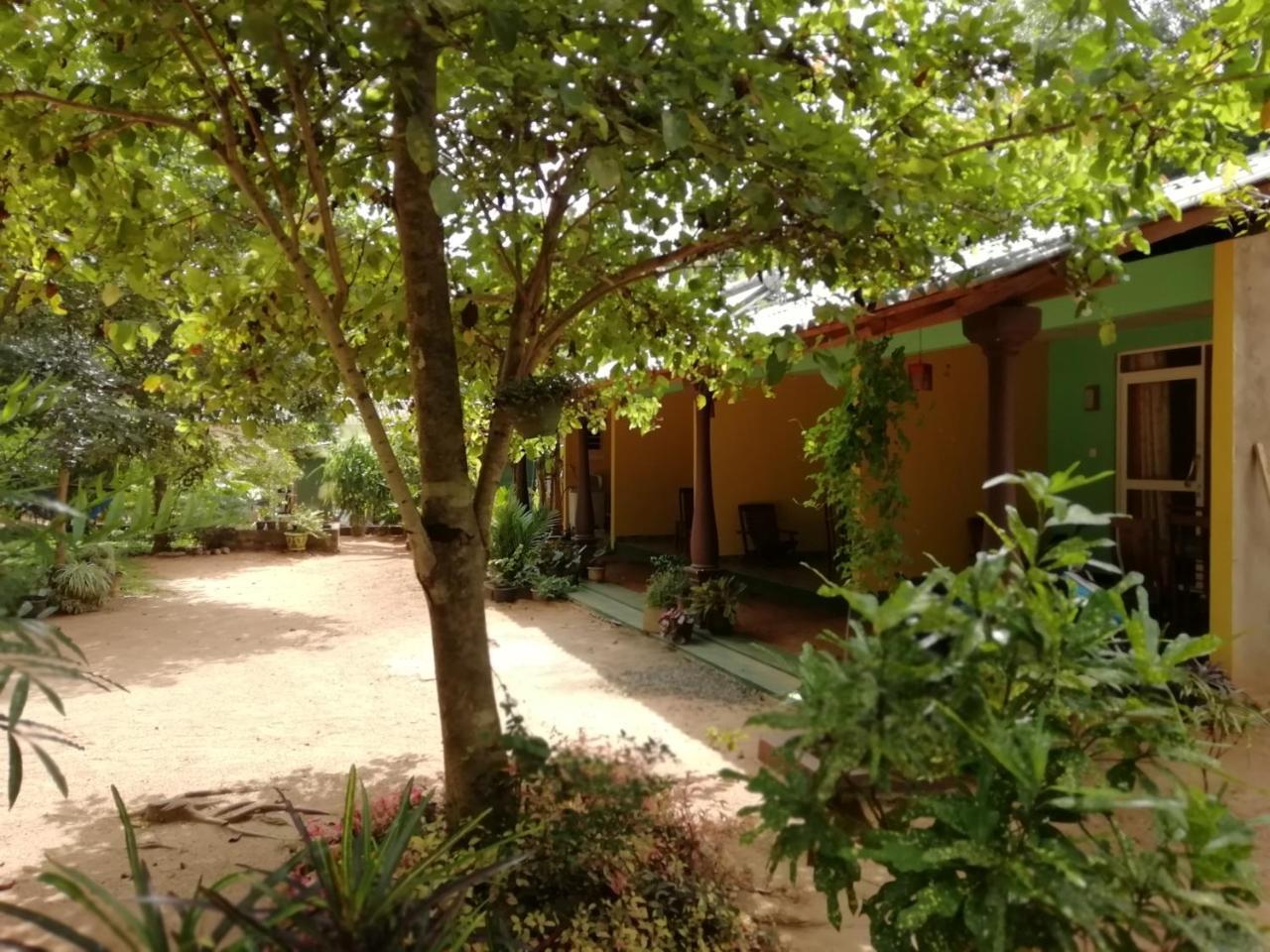 Sigiri La Veranda Lodge Kibissa エクステリア 写真