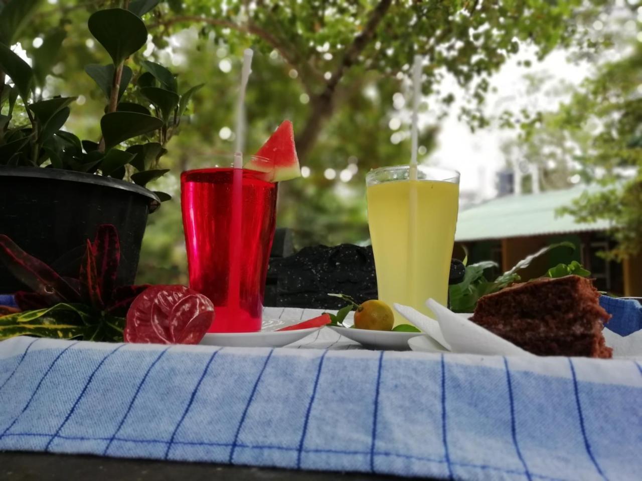 Sigiri La Veranda Lodge Kibissa エクステリア 写真