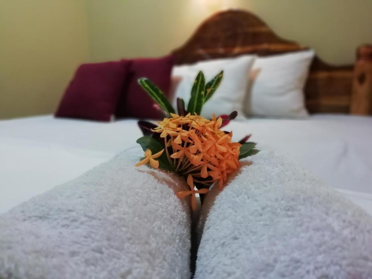 Sigiri La Veranda Lodge Kibissa エクステリア 写真